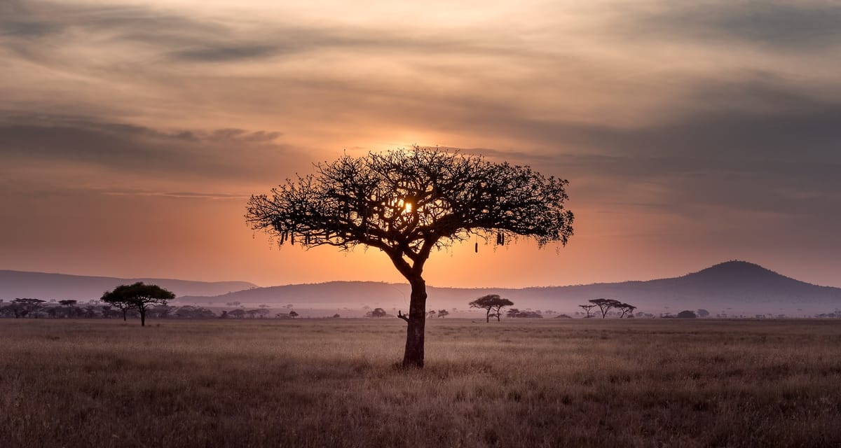 The birthplace of humanity, the brain, creativity, consciousness, farming, society, language...