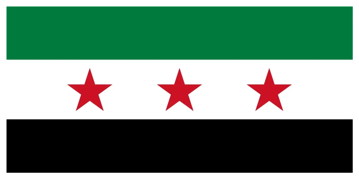https://www.reddit.com/r/Syria/comments/1h9gwjq/the_official_flag_of_the_republic_of_syria_2025/