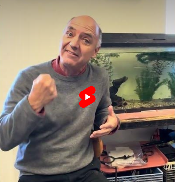 Dopamine is NOT a Stimulant?