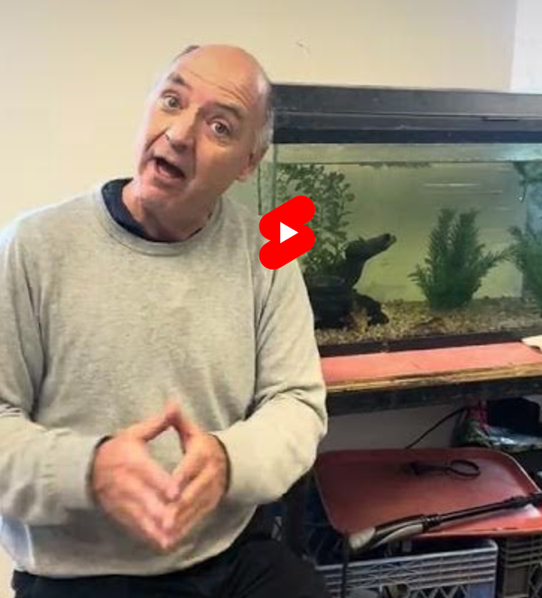 Why Crayfish and Dopamine?